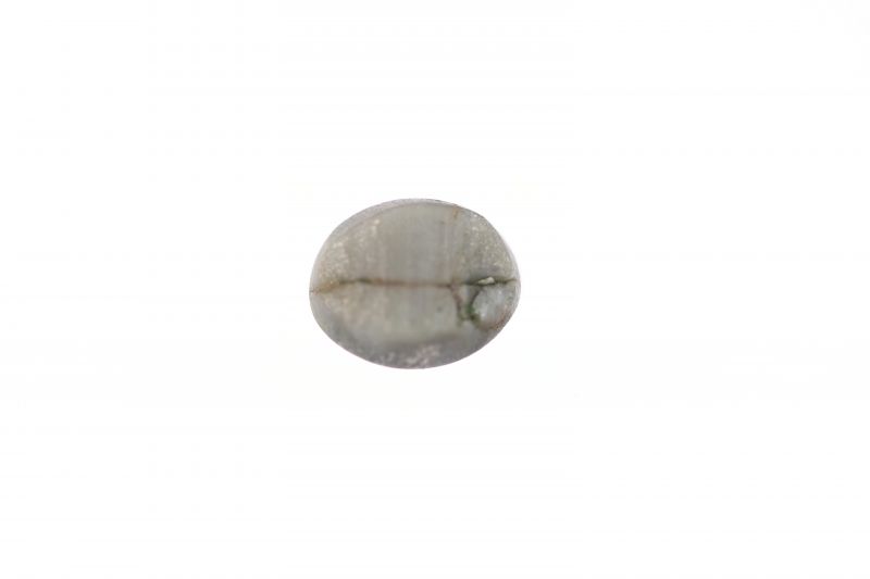 201734 Original Cats Eye Gemstone - 8.75 Carat Weight - Origin India