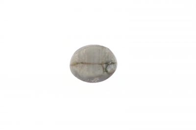201734 Original Cats Eye Gemstone - 8.75 Carat Weight - Origin India