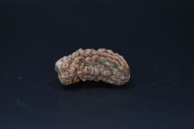 01 Mukhi Rudraksha-4.28 Gms Weight-Origin-India