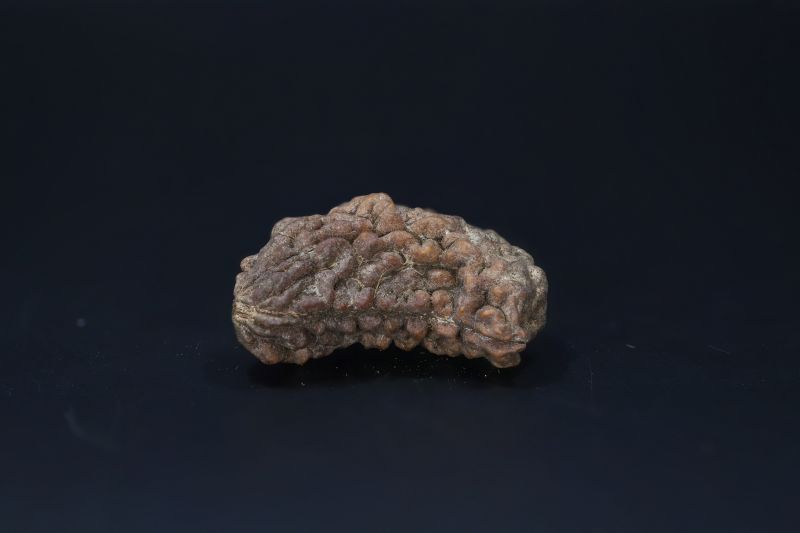 01 Mukhi Rudraksha-4.28 Gms Weight-Origin-India