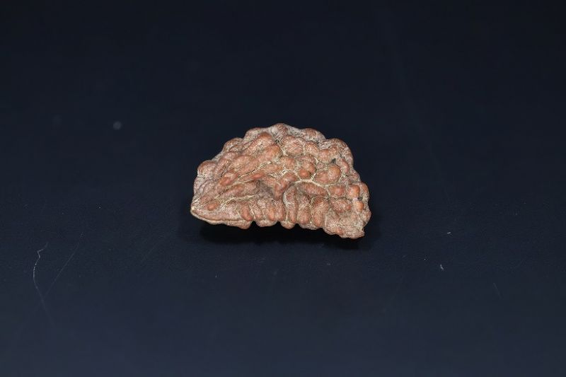 01 Mukhi Rudraksha-2.25 Gms Weight-Origin-India
