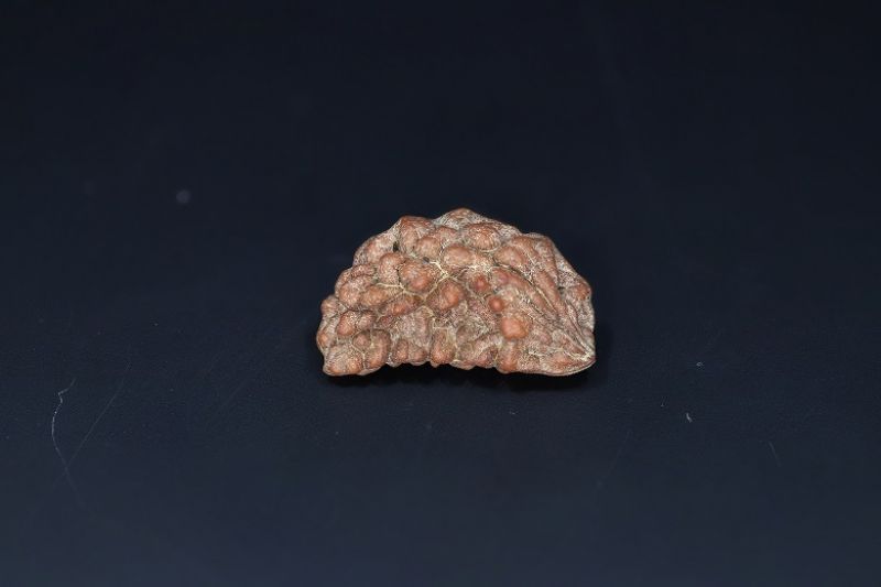01 Mukhi Rudraksha-2.25 Gms Weight-Origin-India