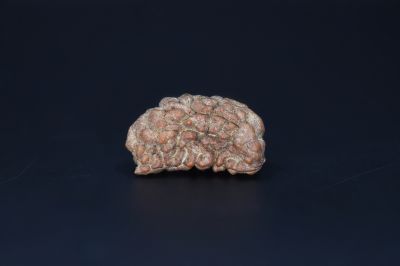 Brown Rudraksh 1 Mukhi -  3.38  Gms Weight - Origin - India