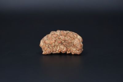 Brown Rudraksh 1 Mukhi -  3.38  Gms Weight - Origin - India