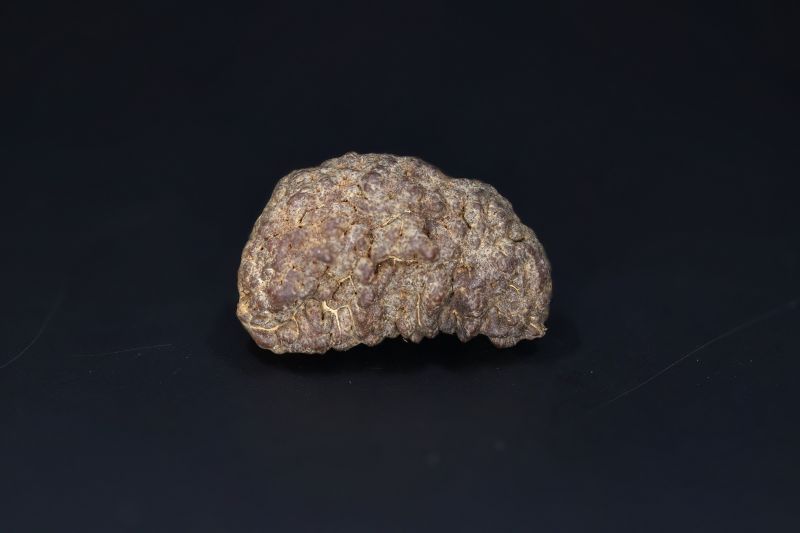 Brown Rudraksh 1 Mukhi-5.42 Gms Weight-Origin-India
