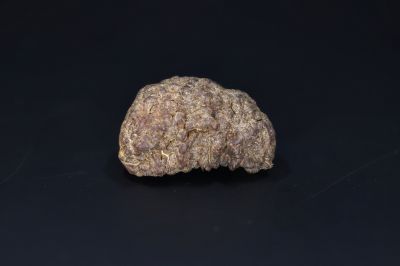 Brown Rudraksh 1 Mukhi-5.42 Gms Weight-Origin-India