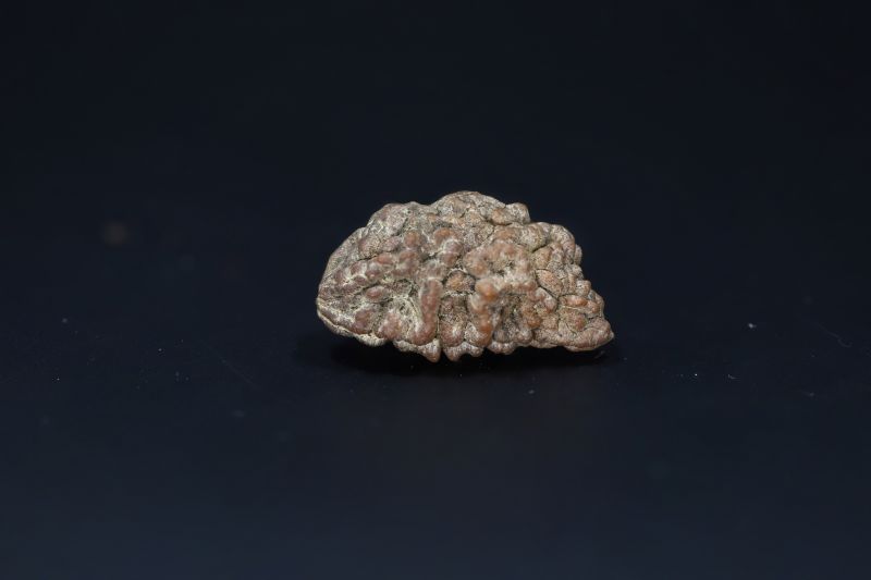 Natural 1 Mukhi Rudraks-3.78 Gms Weight-Origin-India