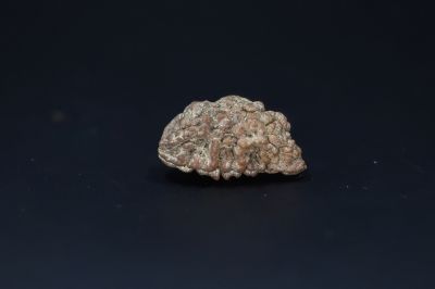 Natural 1 Mukhi Rudraks-3.78 Gms Weight-Origin-India