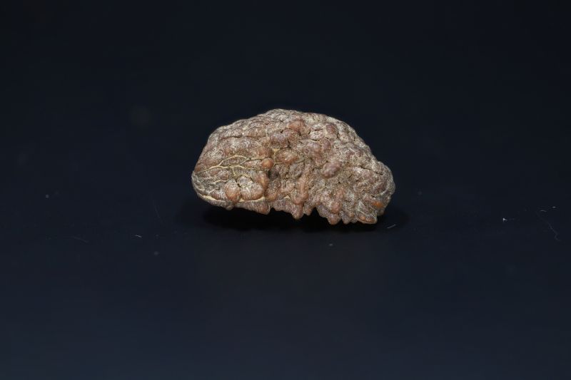 Natural 1 Mukhi Rudraks-4.19 Gms Weight-Origin-India
