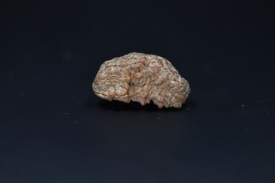Natural 1 Mukhi Rudraks-4.19 Gms Weight-Origin-India